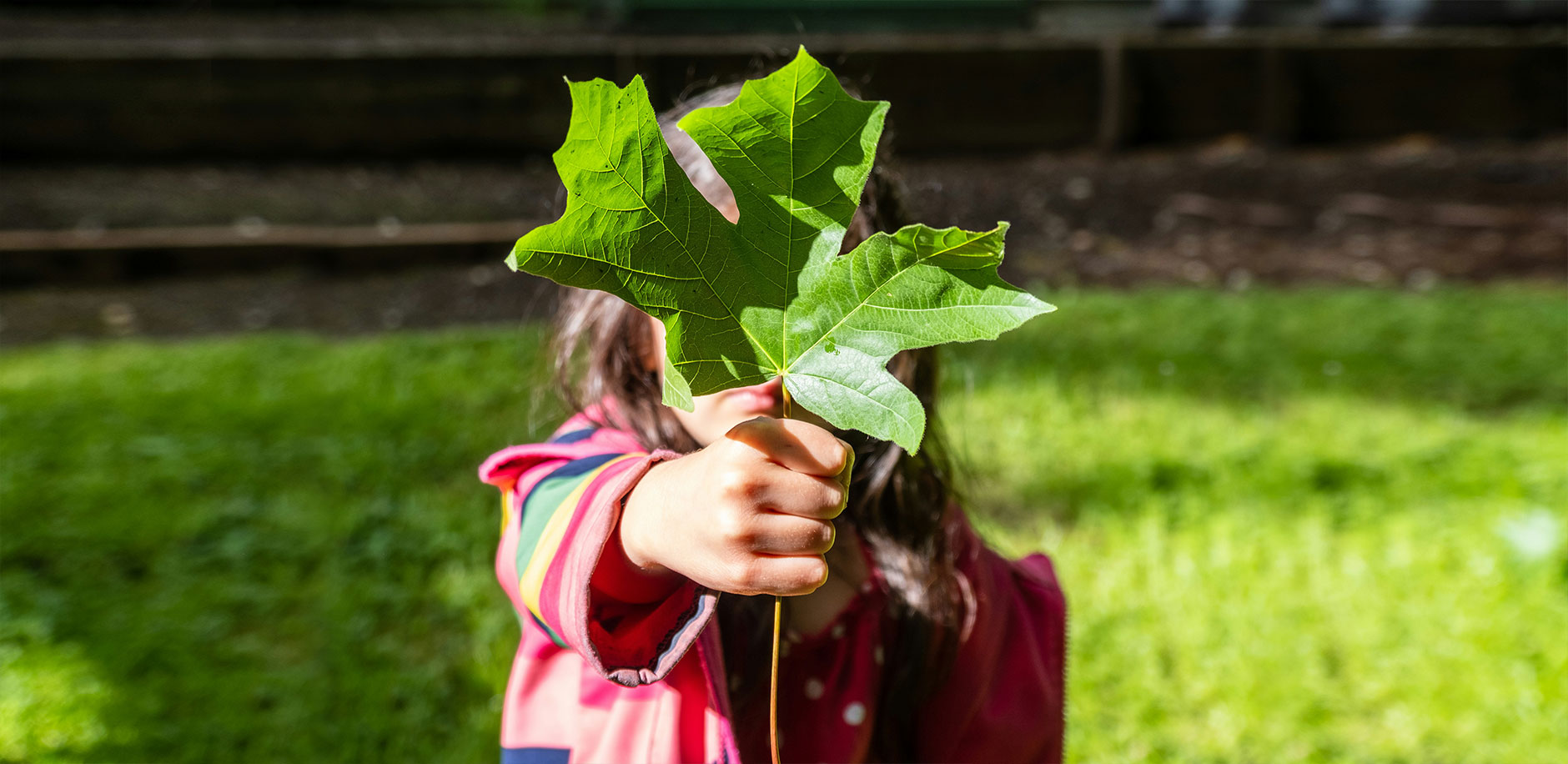 AG�ι��֡�(�й���)���޹�˾����