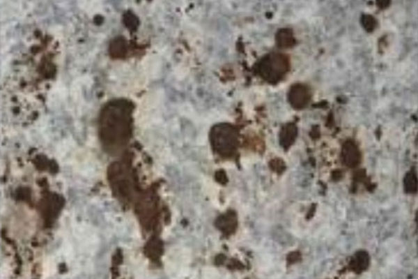 AG�ι��֡�(�й���)���޹�˾����