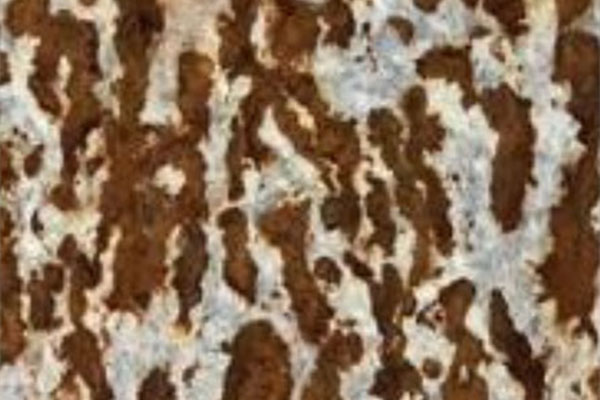 AG�ι��֡�(�й���)���޹�˾����