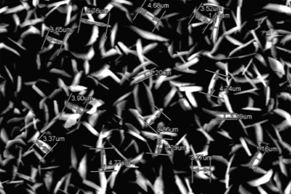 AG�ι��֡�(�й���)���޹�˾����