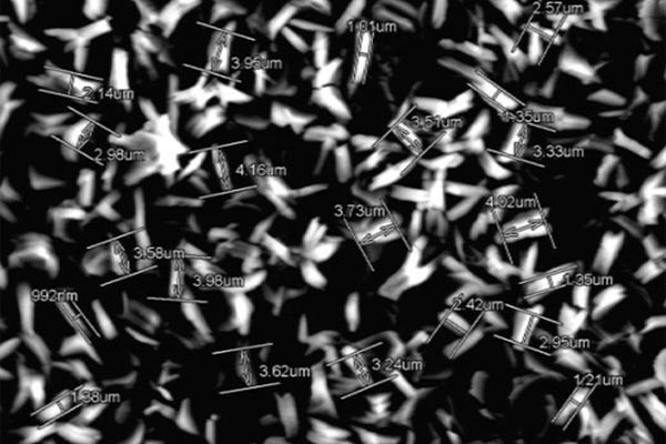 AG�ι��֡�(�й���)���޹�˾����